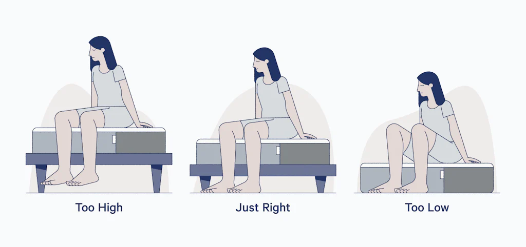 Best bed height for you