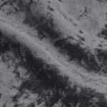 Seal Grey